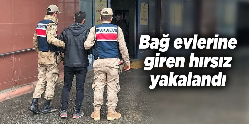 Bağ evlerine giren hırsız yakalandı