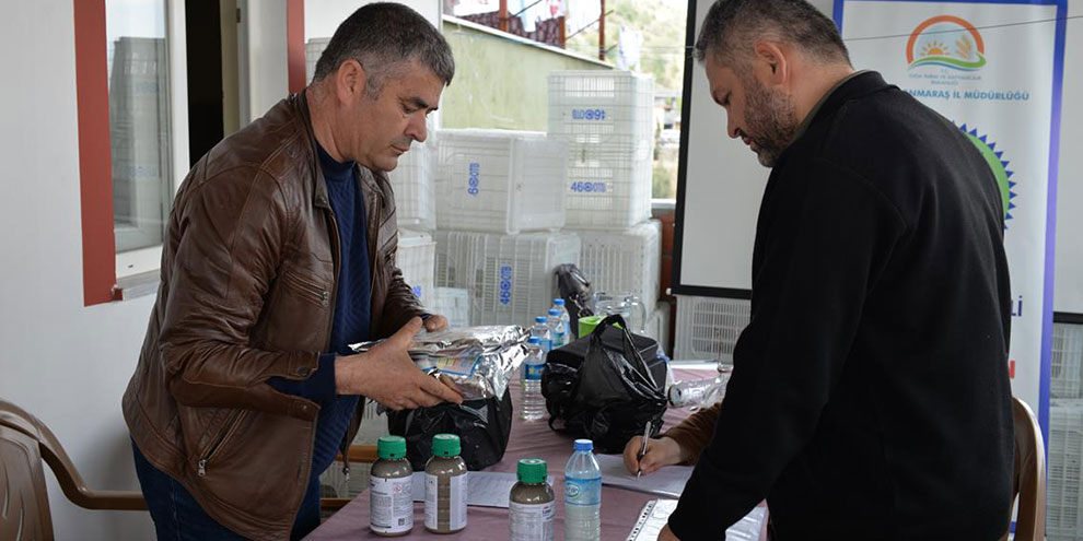 Sır baraj havzası organik zeytin yetiştiriciliği projesi