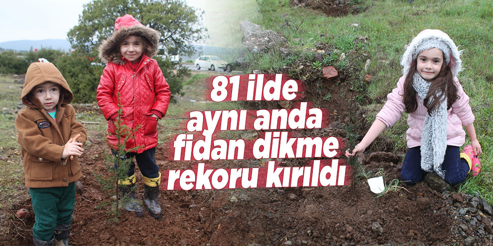 81 ilde aynı anda fidan dikme rekoru kırıldı