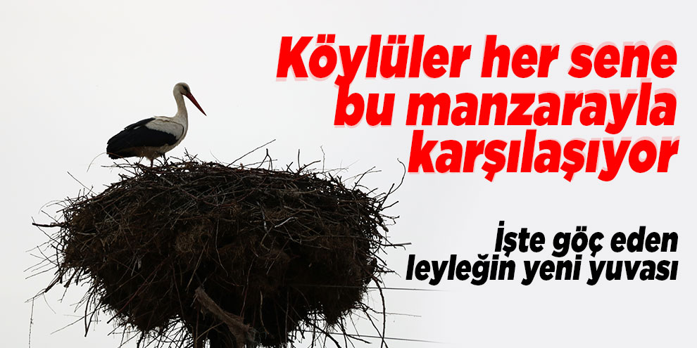 Leylekler elektrik direğini mesken tuttu