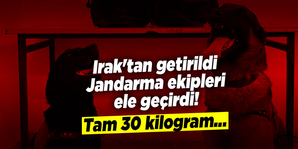 Irak'tan getirildi Jandarma ekipleri ele geçirdi! Tam 30 kilogram...