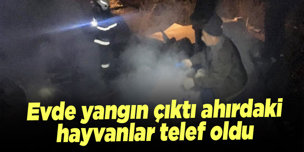 Evde yangın çıktı ahırdaki hayvanlar telef oldu