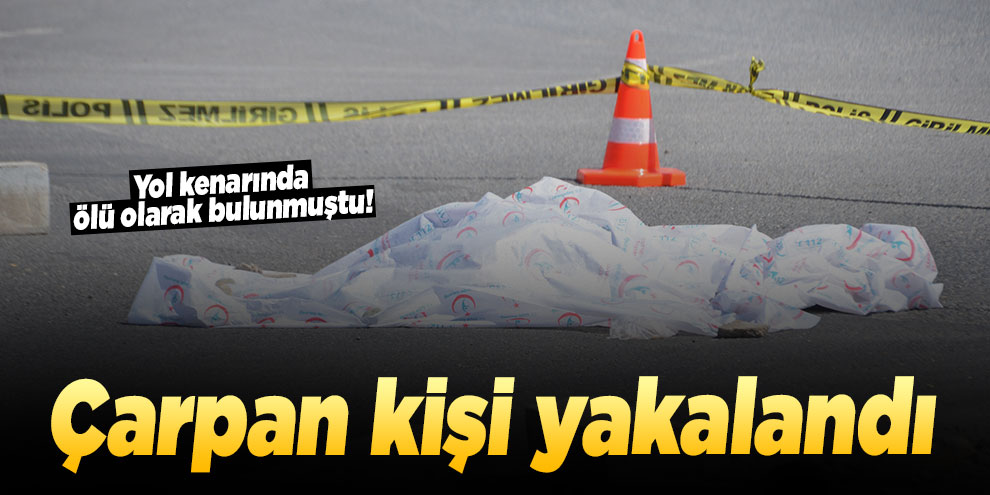 Yol kenarında ölü olarak bulunmuştu! Çarpan kişi yakalandı