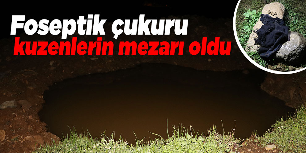 Foseptik çukuru kuzenlerin mezarı oldu