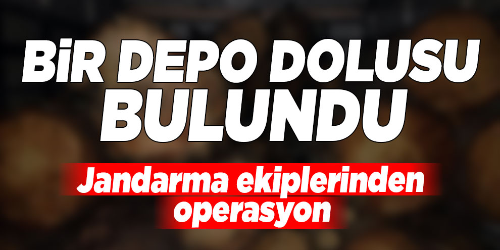 Kahramanmaraş'ta kaçak ağaç kesimi operasyonu