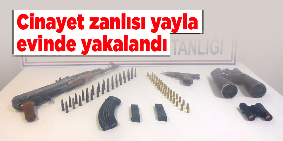 Cinayet zanlısı yayla evinde yakalandı