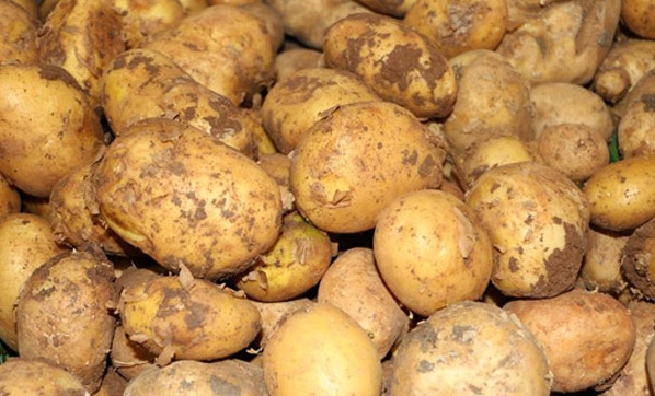 Ve iyi haber geldi! Fiyatı 1,5 liraya kadar düşer