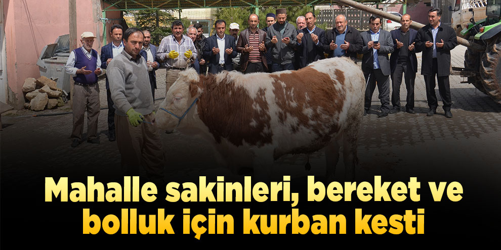 Mahalle sakinleri, bereket ve bolluk için kurban kesti