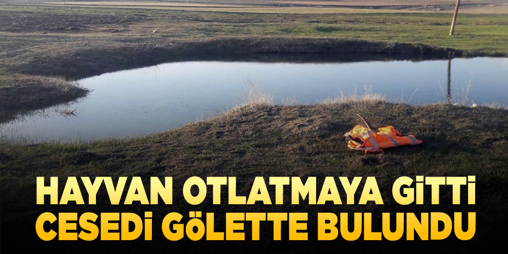 Hayvan otlatmaya gitti, cesedi gölette bulundu