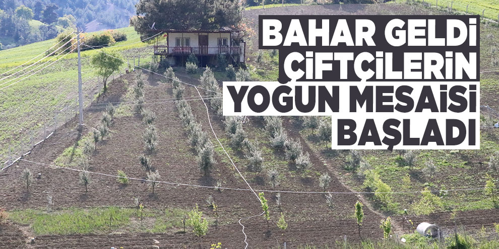 Bahar geldi çiftçilerin yoğun mesaisi başladı