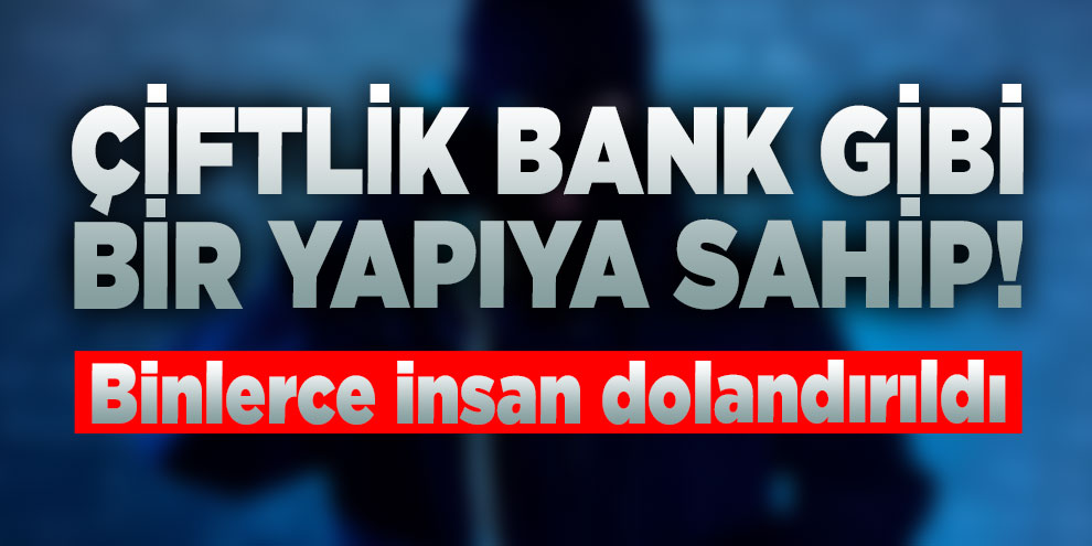 20 çeşit sanal inek ile yüzde 200 kar vaad etmişler