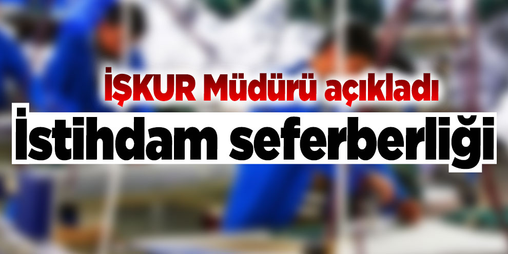 İstihdam seferberliği