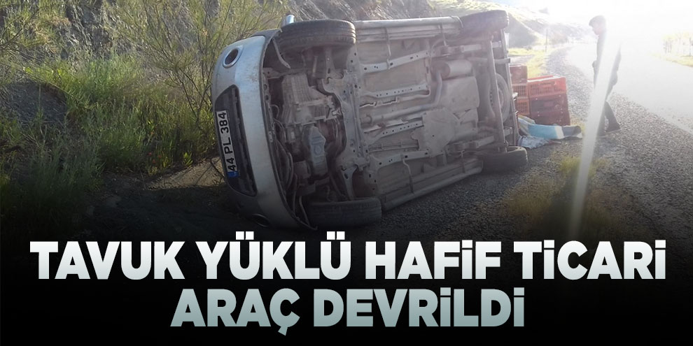 Tavuk yüklü hafif ticari araç devrildi:1 yaralı