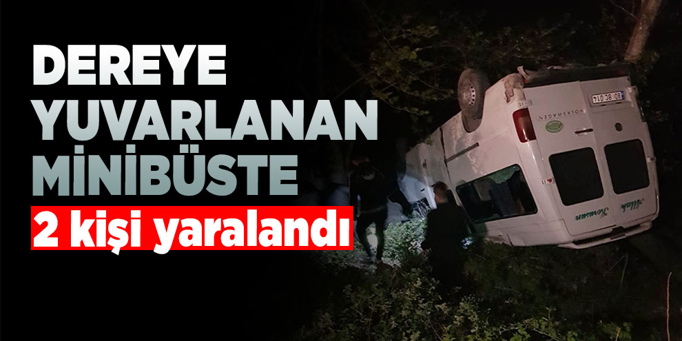 Dereye yuvarlanan minibüste 2 kişi yaralandı