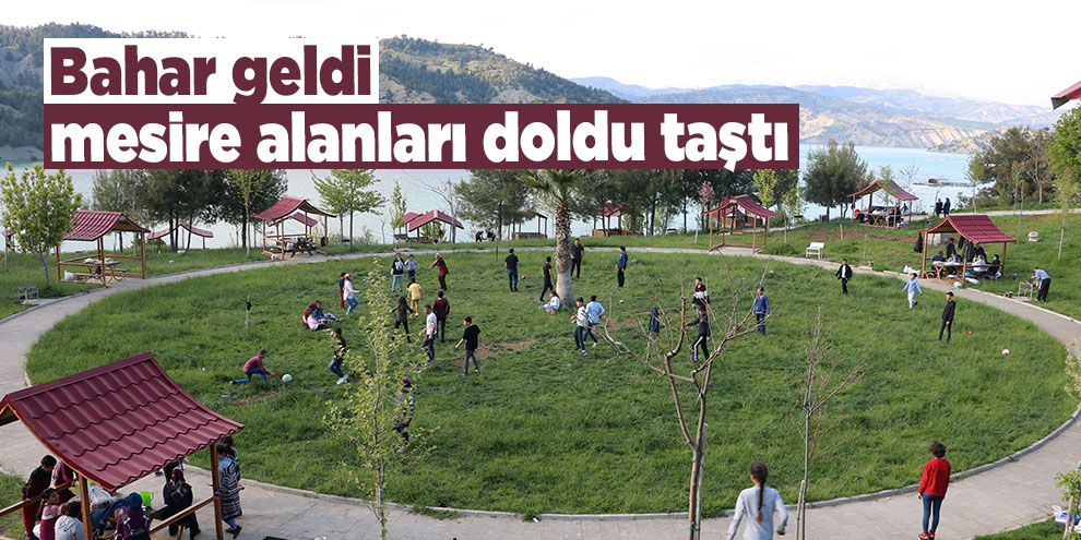 Bahar geldi mesire alanları doldu taştı
