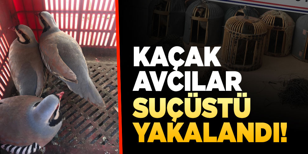 Kaçak avladıkları kekliklerle yakalandılar