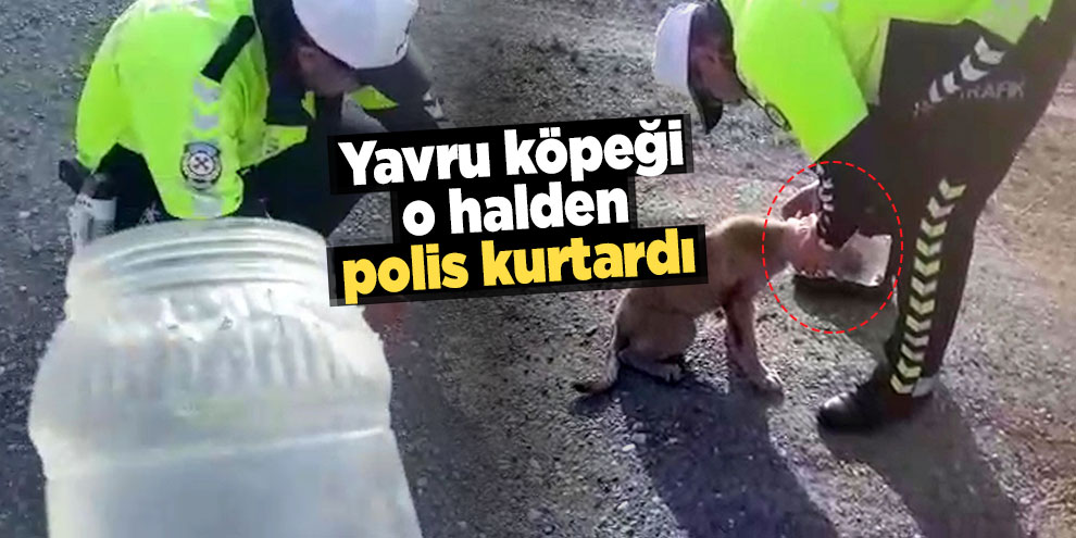 Kafasına geçirilen bidonla dolaşan köpeği polis kurtardı