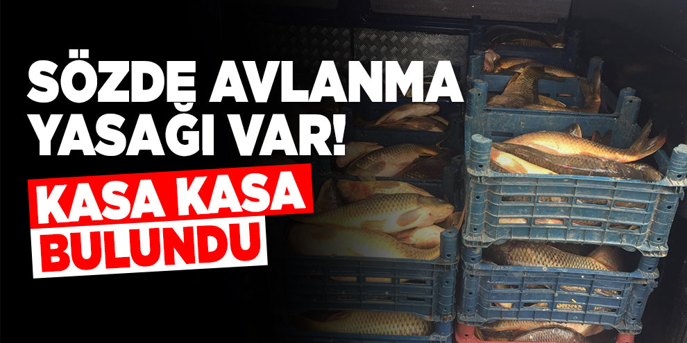 Yasa dışı balık sevkiyatına bin 635 TL ceza