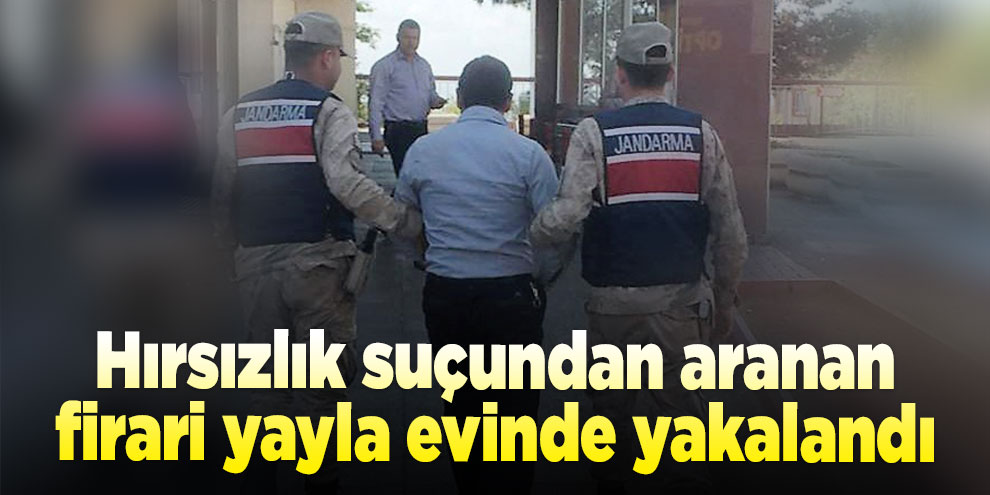 Hırsızlık suçundan aranan firari yayla evinde yakalandı