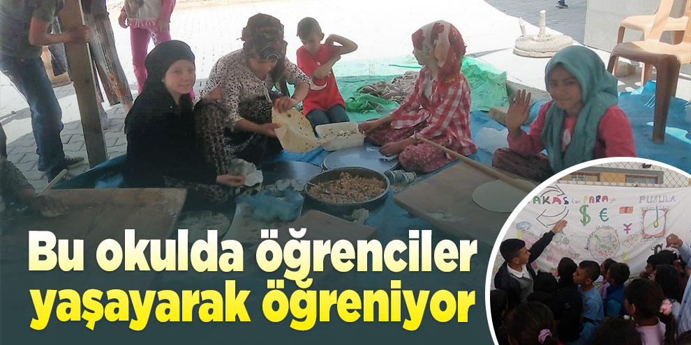 Bu okulda öğrenciler yaşayarak öğreniyor