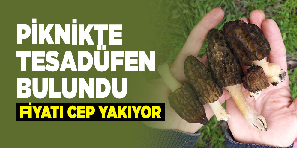 Piknikte tesadüfen bulundu, fiyatı cep yakıyor