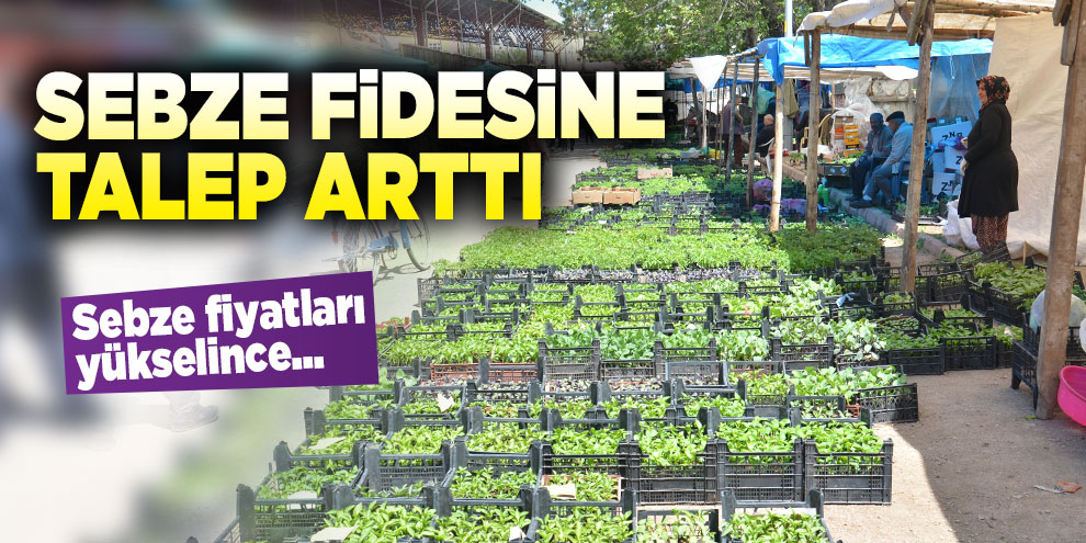 Sebze fidesine talep arttı