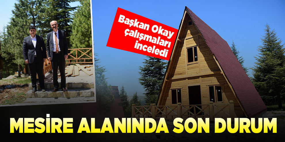 Başkan Okay Yalnız Ardıç Mesire alanı çalışmalarını inceledi