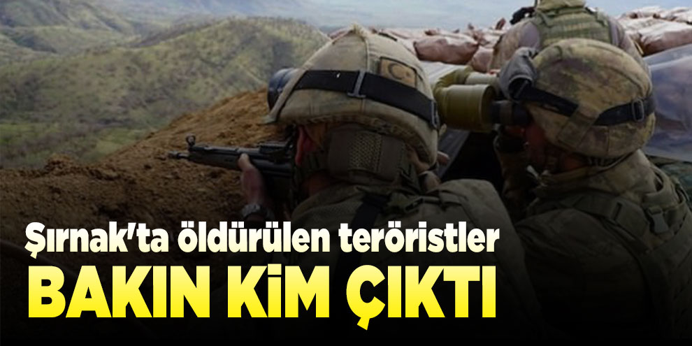 Şırnak'ta öldürülen terörist sözde 'Gabar Dağı sorumlusu' çıktı