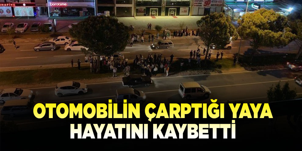 Otomobilin çarptığı yaya hayatını kaybetti