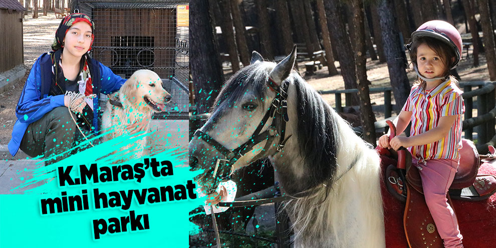 Kahramanmaraş’ta mini hayvanat parkı
