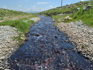 AKSU ÇAYINDA KİRLİLİK