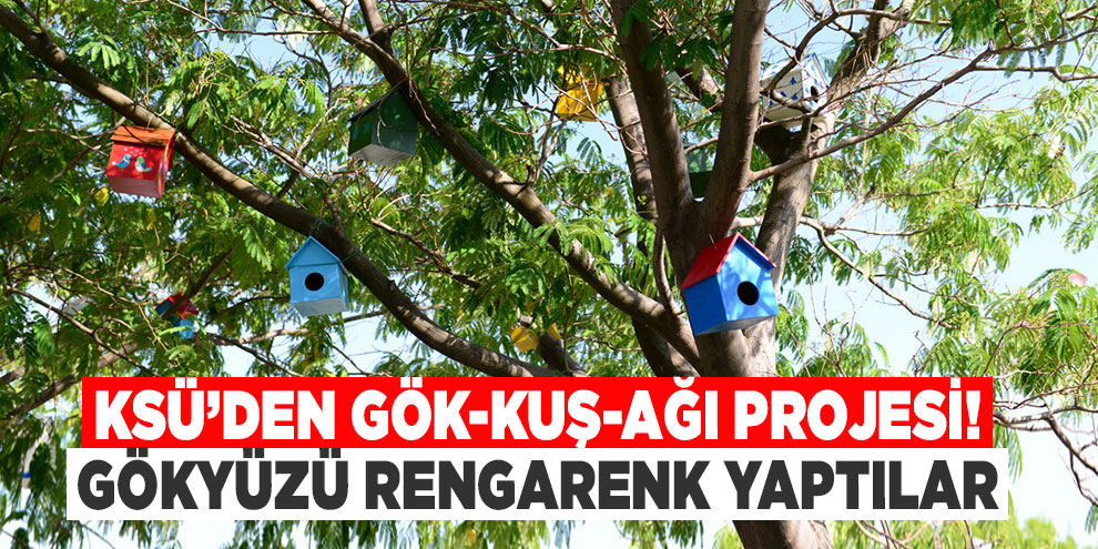 KSÜ’den Gök-kuş-ağı Projesi! Gökyüzü rengarenk yaptılar