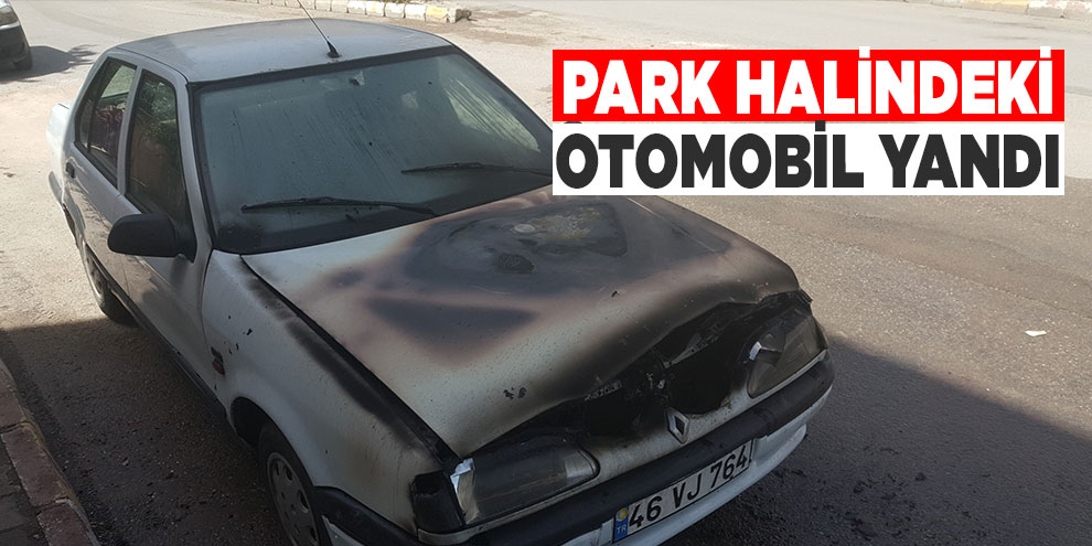 Park halindeki otomobil yandı