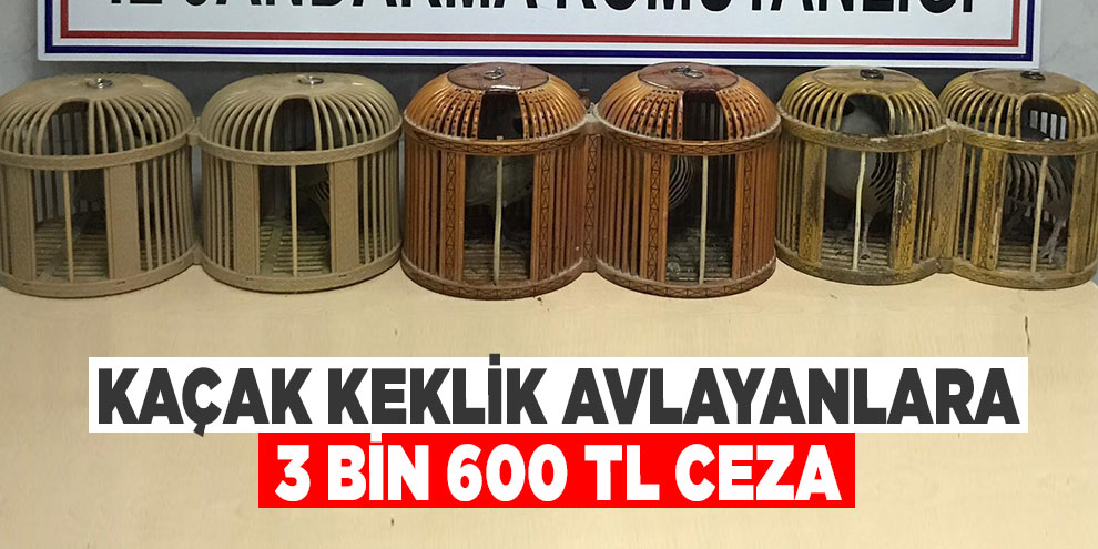 Kaçak keklik avlayanlara 3 bin 600 TL ceza