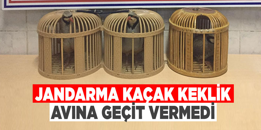 Jandarma kaçak keklik avına geçit vermedi