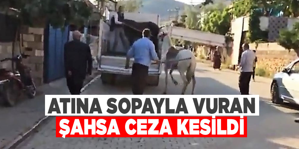 Atına sopayla vuran şahsa ceza kesildi