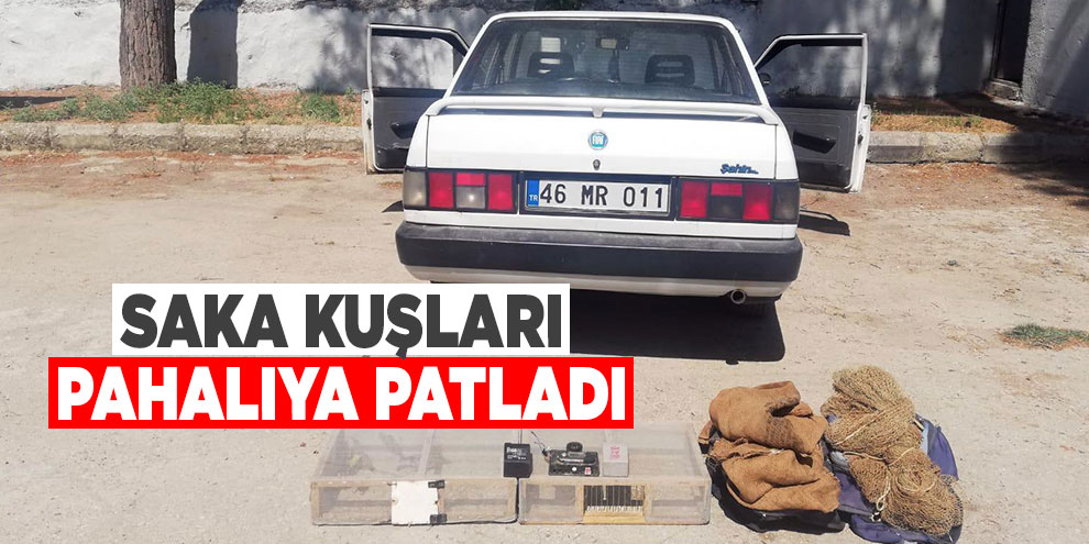 Saka kuşları pahalıya patladı