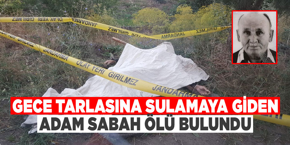 Gece tarlasına sulamaya giden adam sabah ölü bulundu