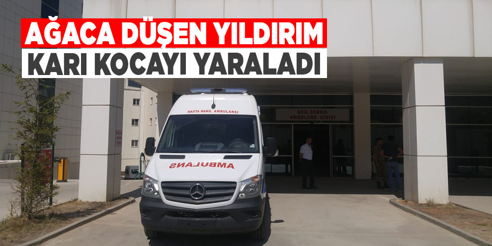 Ağaca düşen yıldırım karı kocayı yaraladı