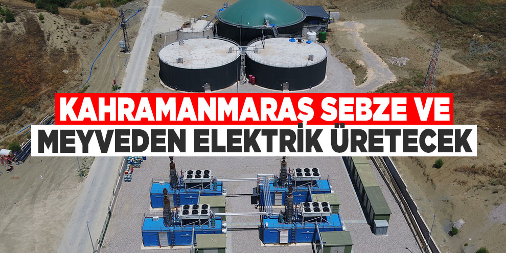 Kahramanmaraş sebze ve meyveden elektrik üretecek