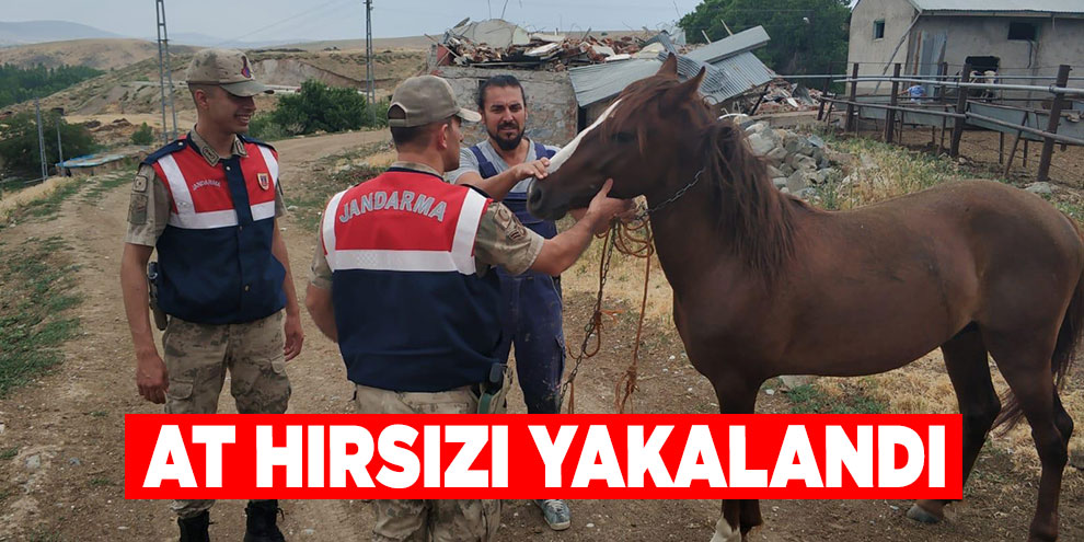 At hırsızı yakalandı