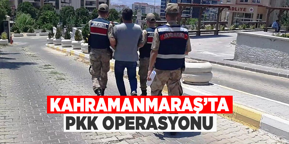 Kahramanmaraş’ta PKK operasyonu: 1 gözaltı