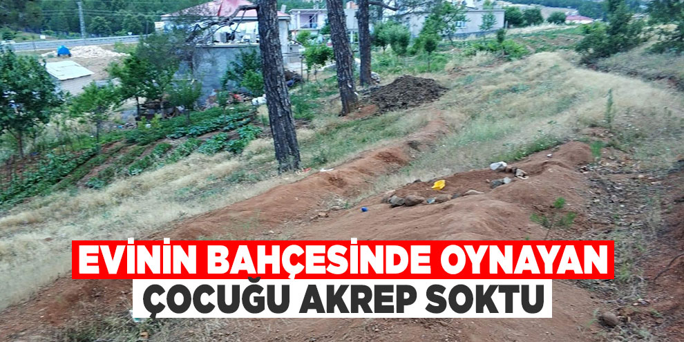 Evinin bahçesinde oynayan çocuğu akrep soktu