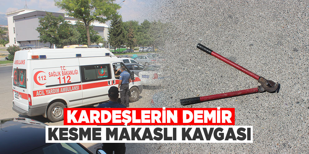Kardeşlerin demir kesme makaslı kavgası