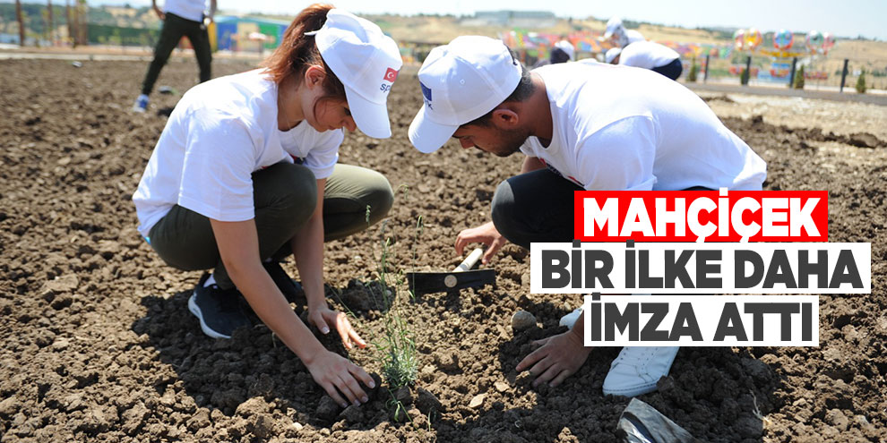 Mahçiçek, bir ilke daha imza attı