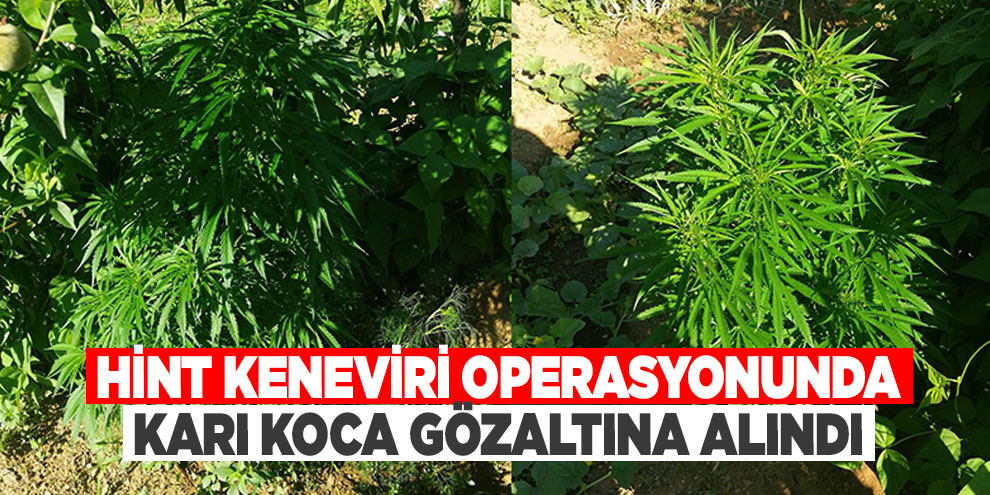 Hint keneviri operasyonunda karı koca gözaltına alındı