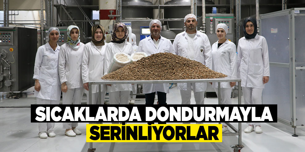 Sıcaklarda dondurmayla serinliyorlar