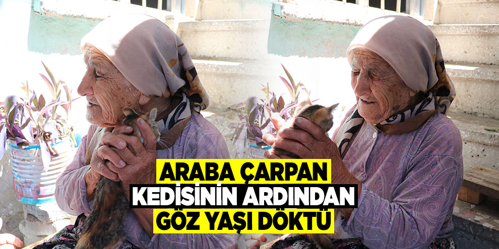 Araba çarpan kedisinin ardından göz yaşı döktü