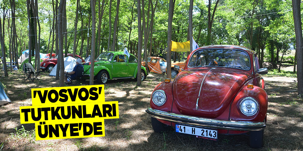 'Vosvos' tutkunları Ünye'de