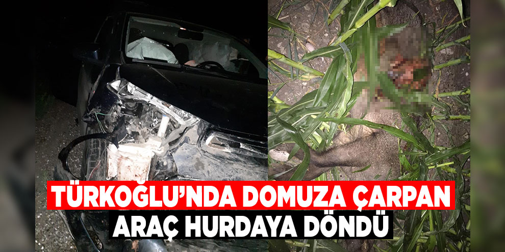 Türkoğlu’nda domuza çarpan araç hurdaya döndü